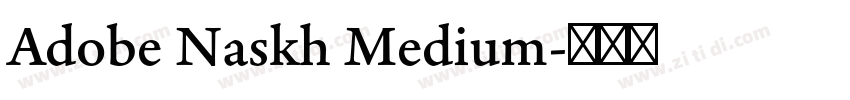 Adobe Naskh Medium字体转换 Adobe Naskh Medium字体转换